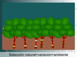 Selección natural=variación+ambiente

 