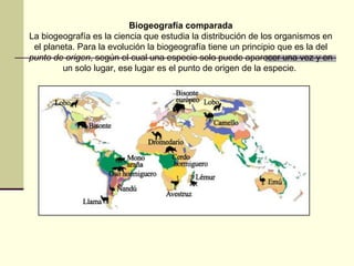 Biogeografía comparada
La biogeografía es la ciencia que estudia la distribución de los organismos en
el planeta. Para la evolución la biogeografía tiene un principio que es la del
punto de origen, según el cual una especie solo puede aparecer una vez y en
un solo lugar, ese lugar es el punto de origen de la especie.
 