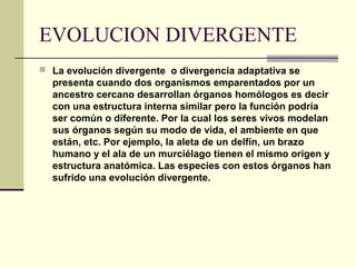 EVOLUCION DIVERGENTE
 La evolución divergente o divergencia adaptativa se
presenta cuando dos organismos emparentados por un
ancestro cercano desarrollan órganos homólogos es decir
con una estructura interna similar pero la función podría
ser común o diferente. Por la cual los seres vivos modelan
sus órganos según su modo de vida, el ambiente en que
están, etc. Por ejemplo, la aleta de un delfín, un brazo
humano y el ala de un murciélago tienen el mismo origen y
estructura anatómica. Las especies con estos órganos han
sufrido una evolución divergente.
 