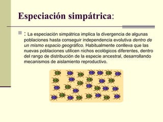Especiación simpátrica:
 : La especiación simpátrica implica la divergencia de algunas
poblaciones hasta conseguir independencia evolutiva dentro de
un mismo espacio geográfico. Habitualmente conlleva que las
nuevas poblaciones utilicen nichos ecológicos diferentes, dentro
del rango de distribución de la especie ancestral, desarrollando
mecanismos de aislamiento reproductivo.
 