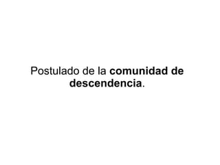 Postulado de la  comunidad de descendencia . 