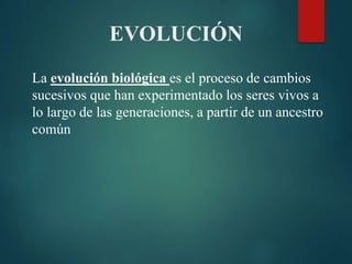 EVOLUCIÓN
La evolución biológica es el proceso de cambios
sucesivos que han experimentado los seres vivos a
lo largo de las generaciones, a partir de un ancestro
común
 