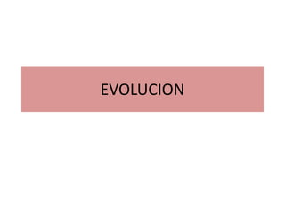 EVOLUCION
 