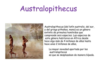 Australopithecus
Australopithecus (del latín australis, del sur,
y del griego pithekos, mono) es un género
extinto de primates homínidos que
comprende seis especies. Las especies de
este género habitaron en África desde
hace algo más de 4 millones de años hasta
hace unos 2 millones de años,
La mayor novedad aportada por los
australopitecos
es que se desplazaban de manera bípeda.

 