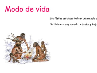 Modo de vida

Los fósiles asociados indican una mezcla d

Su dieta era muy variada de frutas y hoja

 