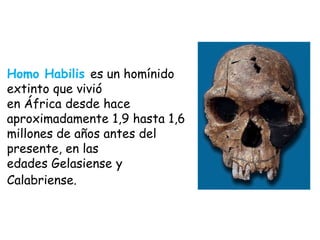 Homo Habilis es un homínido
extinto que vivió
en África desde hace
aproximadamente 1,9 hasta 1,6
millones de años antes del
presente, en las
edades Gelasiense y
Calabriense.

 