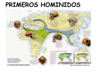 PRIMEROS HOMINIDOS

 