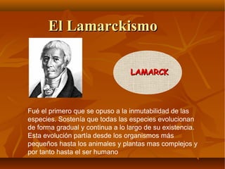 Fué el primero que se opuso a la inmutabilidad de las
especies. Sostenía que todas las especies evolucionan
de forma gradual y continua a lo largo de su existencia.
Esta evolución partía desde los organismos más
pequeños hasta los animales y plantas mas complejos y
por tanto hasta el ser humano
LAMARCKLAMARCK
El LamarckismoEl Lamarckismo
 