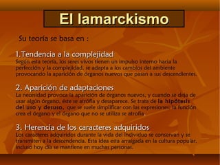 1.Tendencia a la complejidad1.Tendencia a la complejidad
Según esta teoría, los seres vivos tienen un impulso interno hacia la
perfección y la complejidad, se adapta a los cambios del ambiente
provocando la aparición de órganos nuevos que pasan a sus descendientes.
2. Aparición de adaptaciones2. Aparición de adaptaciones
La necesidad provoca la aparición de órganos nuevos, y cuando se deja de
usar algún órgano, éste se atrófia y desaparece. Se trata de la hipótesis
del uso y desuso, que se suele simplificar con las expresiones: la función
crea el órgano y el órgano que no se utiliza se atrofia.
3. Herencia de los caracteres adquiridos3. Herencia de los caracteres adquiridos
Los caracteres adquiridos durante la vida del individuo se conservan y se
transmiten a la descendencia. Esta idea esta arraigada en la cultura popular,
incluso hoy día se mantiene en muchas personas.
El lamarckismoEl lamarckismo
Su teoría se basa en :
 