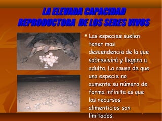 LA ELEVADA CAPACIDADLA ELEVADA CAPACIDAD
REPRODUCTORA DE LOS SERES VIVOSREPRODUCTORA DE LOS SERES VIVOS
 Las especies suelenLas especies suelen
tener mastener mas
descendencia de la quedescendencia de la que
sobrevivirá y llegara asobrevivirá y llegara a
adulta. La causa de queadulta. La causa de que
una especie nouna especie no
aumente su número deaumente su número de
forma infinita es queforma infinita es que
los recursoslos recursos
alimenticios sonalimenticios son
limitados.limitados.
 