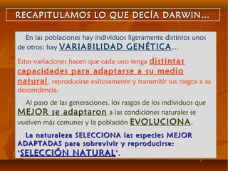 RECAPITULAMOS LO QUE DECÍA DARWIN…RECAPITULAMOS LO QUE DECÍA DARWIN…
En las poblaciones hay individuos ligeramente distintos unos
de otros: hay VARIABILIDAD GENÉTICA…
Estas variaciones hacen que cada uno tenga distintas
capacidades para adaptarse a su medio
natural, reproducirse exitosamente y transmitir sus rasgos a su
descendencia.
Al paso de las generaciones, los rasgos de los individuos que
MEJOR se adaptaron a las condiciones naturales se
vuelven más comunes y la población EVOLUCIONA.
La naturaleza SELECCIONA las especies MEJORLa naturaleza SELECCIONA las especies MEJOR
ADAPTADAS para sobrevivir y reproducirse:ADAPTADAS para sobrevivir y reproducirse:
‘‘SELECCIÓN NATURALSELECCIÓN NATURAL’.’.
 