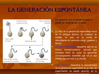 LA GENERACIÓN ESPONTÁNEALA GENERACIÓN ESPONTÁNEA
La materia viva se puede formar a
partir de materia no viviente.
 La idea de la generación espontánea nació
en la antigua Grecia, la creencia se
basaba en que, en la carne en
descomposición parecian surgir gusanos y
larvas.
 Lazzaro Spallanzani demostró que en un
frasco herméticamente cerrado que
contenía caldo de carne no aparecían
microosganismo mientras que en el que
estaba mal cerrado si lo hacían.
 Louis Pasteur demostró la imposibilidad
de la generación espontánea de la vida. Su
experimento se puede apreciar en la
 