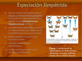  Ocurre cuando una especie pese aOcurre cuando una especie pese a
ocupar un mismo territorio geográficoocupar un mismo territorio geográfico
se diversifica en dos subpoblacionesse diversifica en dos subpoblaciones
debido a unosdebido a unos mecanismos quemecanismos que
impiden el cruceimpiden el cruce como son:como son:
 La existencia de diferentes habitats enLa existencia de diferentes habitats en
un mismo territorio con diferencias enun mismo territorio con diferencias en
la temperatura, la luz o la humedad.la temperatura, la luz o la humedad.
 Diferencias de comportamientoDiferencias de comportamiento
durante el cortejo.durante el cortejo.
 Variación de los órganosVariación de los órganos
reproductores.reproductores.
 Modificación cromosómica queModificación cromosómica que
afecta a la informaciónafecta a la información
Especiación SimpátridaEspeciación Simpátrida
Por ej: 2 poblaciones se
especializan en determinados
alimentos y ocupan distintos
nichos de un mismo entorno
 