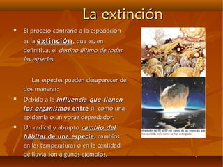 La extinciónLa extinción
 El proceso contrario a la especiaciónEl proceso contrario a la especiación
es laes la extinciónextinción, que es, en, que es, en
definitiva, eldefinitiva, el destino último de todasdestino último de todas
las especieslas especies..
Las especies pueden desaparecer deLas especies pueden desaparecer de
dos maneras:dos maneras:
 Debido a laDebido a la influencia que tieneninfluencia que tienen
los organismoslos organismos entreentre sí, como unasí, como una
epidemia o un voraz depredador.epidemia o un voraz depredador.
 Un radical y abruptoUn radical y abrupto cambio delcambio del
hábitathábitat de una especiede una especie, cambios, cambios
en las temperaturas o en la cantidaden las temperaturas o en la cantidad
de lluvia son algunos ejemplos.de lluvia son algunos ejemplos.
 