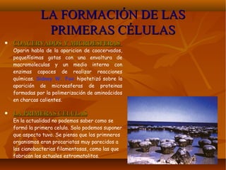 LA FORMACIÓN DE LASLA FORMACIÓN DE LAS
PRIMERAS CÉLULASPRIMERAS CÉLULAS
 COACERVADOS Y MICROESFERASCOACERVADOS Y MICROESFERAS
Oparin habla de la aparicion de coacervados,
pequeñísimas gotas con una envoltura de
macromoleculas y un medio interno con
enzimas capaces de realizar reacciones
químicas. Sidney W. Fox hipotetizó sobre la
aparición de microesferas de proteinas
formadas por la polimerización de aminoácidos
en charcas calientes.
 LA PRIMERAS CELULASLA PRIMERAS CELULAS
En la actualidad no podemos saber como se
formó la primera celula. Solo podemos suponer
que aspecto tuvo. Se piensa que los primneros
organismos eran procariotas muy parecidos a
las cianobacterias filamentosas, como las que
fabrican los actuales estromatolitos.
 
