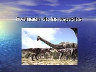 Evolución de las especies 