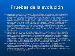Pruebas de la evolución   Son pruebas basadas en criterios de morfología y anatomía comparada. Los conceptos de homología y analogía adquieren especial relevancia para la comprensión de las pruebas anatómicas. Se entiende por estructuras homólogas aquellas que tienen un origen común pero no cumplen necesariamente una misma función; por el contrario, las estructuras que pueden cumplir una misión similar pero poseen origen diferente, serían análogas. De esta manera, las alas de los insectos y las aves serían estructuras análogas, mientras que las extremidades anteriores de los mamíferos, que presentan un mismo origen pero que llevan a cabo funciones diversas —locomotora, natatoria, etc.—, constituirían estructuras homólogas.  En relación a las pruebas embriológicas, hay que distinguir entre ontogenia —las distintas fases del desarrollo embrionario— y filogenia, concepto que hace referencia a las distintas formas evolutivas por las que han pasado los antecesores de un individuo, es decir, su desarrollo evolutivo. En los vertebrados, cuanto más cerca de la fase inicial se sitúan los embriones, más parecidos son; posteriormente, se van diferenciando progresivamente cuanto más cerca de la fase de adulto terminal se encuentran.  Otra de las pruebas clásicas es el estudio de los fósiles. El análisis de los distintos estratos geológicos demuestra la presencia de fósiles de invertebrados en los más antiguos; gradualmente, van apareciendo en los más recientes peces primitivos, y, finalmente, los fósiles correspondientes a los mamíferos y las aves. 