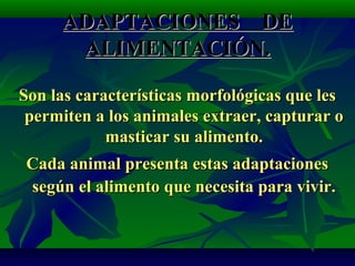 ADAPTACIONES DEADAPTACIONES DE
ALIMENTACIÓN.ALIMENTACIÓN.
Son las características morfológicas que lesSon las características morfológicas que les
permiten a los animales extraer, capturar opermiten a los animales extraer, capturar o
masticar su alimento.masticar su alimento.
Cada animal presenta estas adaptacionesCada animal presenta estas adaptaciones
según el alimento que necesita para vivir.según el alimento que necesita para vivir.
 