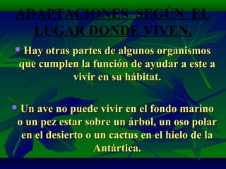ADAPTACIONES SEGÚN EL
LUGAR DONDE VIVEN.
 Hay otras partes de algunos organismosHay otras partes de algunos organismos
que cumplen la función de ayudar a este aque cumplen la función de ayudar a este a
vivir en su hábitat.vivir en su hábitat.
 Un ave no puede vivir en el fondo marinoUn ave no puede vivir en el fondo marino
o un pez estar sobre un árbol, un oso polaro un pez estar sobre un árbol, un oso polar
en el desierto o un cactus en el hielo de laen el desierto o un cactus en el hielo de la
Antártica.Antártica.
 