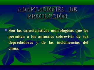 ADAPTACIONES DEADAPTACIONES DE
PROTECCIÓNPROTECCIÓN
 Son las características morfológicas que lesSon las características morfológicas que les
permiten a los animales sobrevivir de suspermiten a los animales sobrevivir de sus
depredadores y de las inclemencias deldepredadores y de las inclemencias del
clima.clima.
 