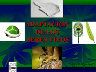 ADAPTACIÓNADAPTACIÓN
DE LOSDE LOS
SERES VIVOSSERES VIVOS
Profesora: Rocío Manríquez V.
Escuela “Olga Navarro Sepúlveda”
Dpto. Estudio y C. de la Naturaleza
 