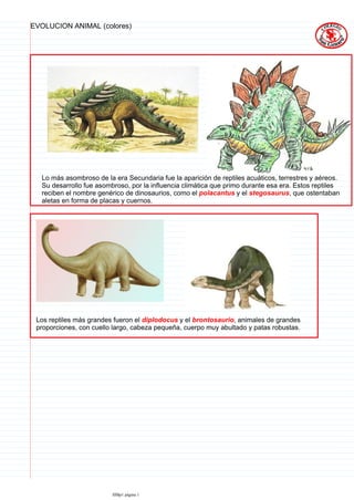 EVOLUCION ANIMAL (colores)




  Lo más asombroso de la era Secundaria fue la aparición de reptiles acuáticos, terrestres y aéreos.
  Su desarrollo fue asombroso, por la influencia climática que primo durante esa era. Estos reptiles
  reciben el nombre genérico de dinosaurios, como el polacantus y el stegosaurus, que ostentaban
  aletas en forma de placas y cuernos.




 Los reptiles más grandes fueron el diplodocus y el brontosaurio, animales de grandes
 proporciones, con cuello largo, cabeza pequeña, cuerpo muy abultado y patas robustas.




                         IIIBp1 página 1
 