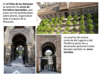 En el Patio de los Naranjos
se aprecian los arcos de
herradura apuntados, que
junto con los polilobulados
sobre pilares, organizaban
todo el espacio de la
Mezquita.
Las puertas de acceso,
como de del Lagarto o del
Perdón (a pesar de su
decoración posterior) están
basadas también en arcos
túmidos.
 