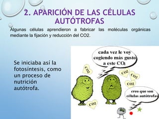 2. APARICIÓN DE LAS CÉLULAS
AUTÓTROFAS
Algunas células aprendieron a fabricar las moléculas orgánicas
mediante la fijación y reducción del CO2.
Se iniciaba así la
fotosíntesis, como
un proceso de
nutrición
autótrofa.
 