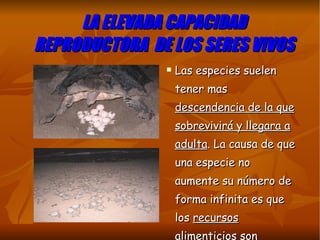 LA ELEVADA CAPACIDAD REPRODUCTORA  DE LOS SERES VIVOS Las especies suelen tener mas  descendencia de la que sobrevivirá y llegara a adulta . La causa de que una especie no aumente su número de forma infinita es que los  recursos alimenticios son limitados. 