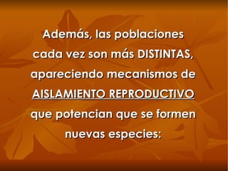 Además, las poblaciones cada vez son más DISTINTAS, apareciendo mecanismos de  AISLAMIENTO REPRODUCTIVO  que potencian que se formen nuevas especies: 