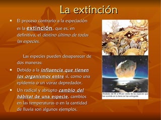 La extinción El proceso contrario a la especiación es la  extinción , que es, en definitiva, el  destino último de todas las especies . Las especies pueden desaparecer de dos maneras: Debido a la  influencia que tienen los organismos  entre  sí, como una epidemia o un voraz depredador. Un radical y abrupto  cambio del hábitat  de una especie , cambios en las temperaturas o en la cantidad de lluvia son algunos ejemplos. 