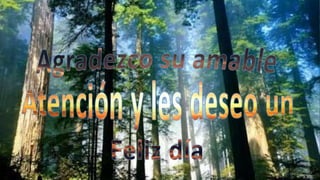 Evolución de la radio