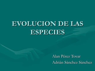 EVOLUCION DE LAS ESPECIES Alan Pérez Tovar Adrián Sánchez Sánchez 