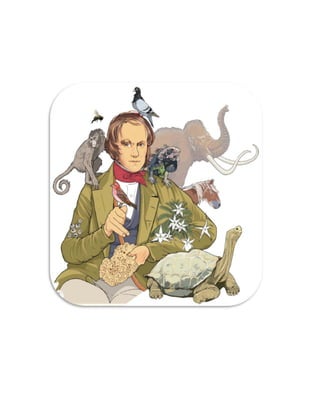 Evolucion de las especies