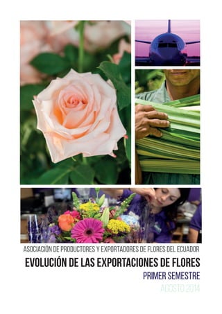 EVOLUCIÓN DE LAS EXPORTACIONES DE FLORES
PRIMER SEMESTRE
Agosto 2014
Asociación de Productores y Exportadores de Flores del Ecuador
 