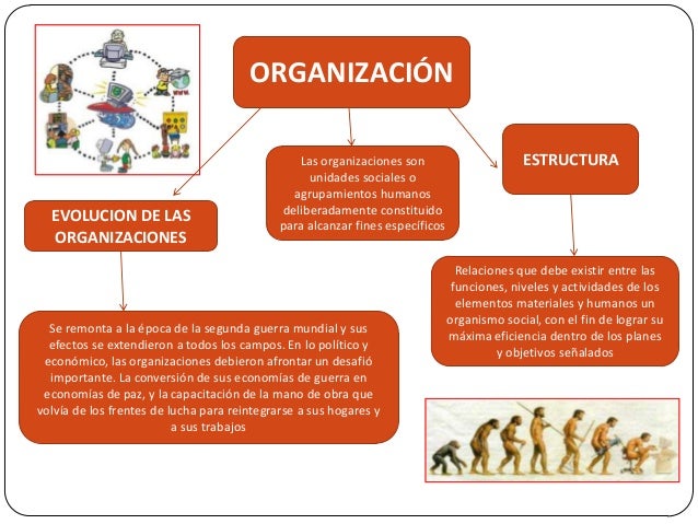 Evolucion de las organizaciones Maria Adames