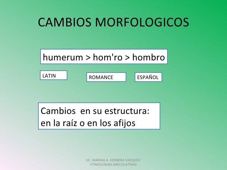 Resultado de imagen para cambios morfologicos en las palabras