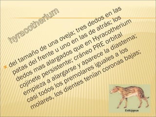 del tamaño de una oveja; tres dedos en las patas del frente u uno en las de atrás; los dedos mas alargados que en Hyracotherium cojinete persistente; cráneo PRE orbital empieza a alargarse y aparece la diastema; casi todos los premolares iguales a los molares, los dientes tenían coronas bajas; 