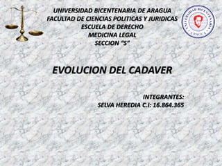 UNIVERSIDAD BICENTENARIA DE ARAGUA
FACULTAD DE CIENCIAS POLITICAS Y JURIDICAS
ESCUELA DE DERECHO
MEDICINA LEGAL
SECCION “S”
EVOLUCION DEL CADAVER
INTEGRANTES:
SELVA HEREDIA C.I: 16.864.365
 