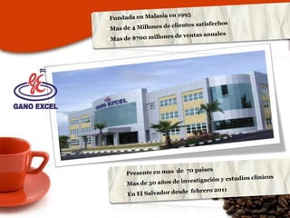 Fundada en Malasia en 1995