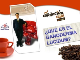 Mas de $700 millones de ventas anuales