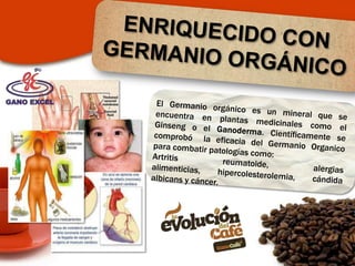¿QUE ES EL GANODERMA LUCIDUM?