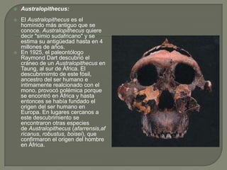 Australopithecus:El Australopithecus es el homínido más antiguo que se conoce. Australopithecus quiere decir "simio sudafricano" y se estima su antigüedad hasta en 4 millones de años.En 1925, el paleontólogo Raymond Dart descubrió el cráneo de un Australopithecus en Taung, al sur de África. El descubrimirnto de este fósil, ancestro del ser humano e intimamenterealcionado con el mono, provocó polémica porque se encontró en África y hasta entonces se había fundado el origen del ser humano en Europa. En lugares cercanos a este descubrimiento se encontraron otras especies de Australopithecus (afarrensis,africanus, robustus, boisei), que confirmaron el origen del hombre en África.