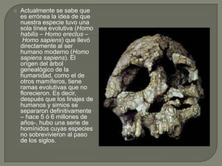 Actualmente se sabe que es errónea la idea de que nuestra especie tuvo una sola línea evolutiva (Homo habilis – Homo erectus – Homo sapiens) que llevó directamente al ser humano moderno (Homo sapiens sapiens). El orígen del árbol genealógico de la humanidad, como el de otros mamíferos, tiene ramas evolutivas que no florecieron. Es decir, después que los linajes de humanos y simios se separaron definitivamente – hace 5 ó 6 millones de años-, hubo una serie de homínidos cuyas especies no sobrevivieron al paso de los siglos.