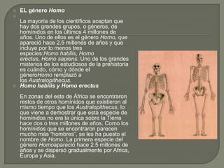 EL género HomoLa mayoría de los científicos aceptan que hay dos grandes grupos, o géneros, de homínidos en los últimos 4 millones de años. Uno de ellos es el género Homo, que apareció hace 2.5 millones de años y que incluye por lo menos tres especies:Homo habilis, Homo erectus, Homo sapiens. Uno de los grandes misterios de los estudiosos de la prehistoria es cuándo, cómo y dónde el géneroHomo remplazó a los Australopithecus.Homo habilis y Homo erectusEn zonas del este de África se encontraron restos de otros homínidos que existieron al mismo tiempo que los Australopithecus, lo que viene a demostrar que esta especie de homínidos no era la única sobre la Tierra hace dos o tres millones de años. Como los homínidos que se encontraron parecen mucho más “hombres”, se les ha puesto el nombre de Homo. La primera especie del género Homoapareció hace 2.5 millones de años y se dispersó gradualmente por Africa, Europa y Asia.
