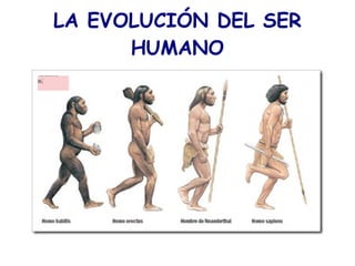 LA EVOLUCIÓN DEL SER HUMANO 