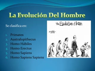 Se clasifica en:

1.   Primates
2.   Australopithecus
3.   Homo Hábiles
4.   Homo Erectus
5.   Homo Sapiens
6.   Homo Sapiens Sapiens
 