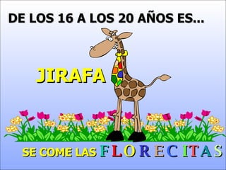 DE LOS 16 A LOS 20 AÑOS ES... JIRAFA SE COME LAS   F L O R E C I T A S 