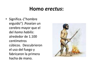 Homo erectus:
• Significa.-("hombre
erguido") .Poseían un
cerebro mayor que el
del homo habilis:
alrededor de 1.100
centímetros
cúbicos. Descubrieron
el uso del fuego y
fabricaron la primera
hacha de mano.
 