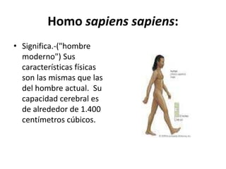 Homo sapiens sapiens:
• Significa.-("hombre
moderno") Sus
características físicas
son las mismas que las
del hombre actual. Su
capacidad cerebral es
de alrededor de 1.400
centímetros cúbicos.
 